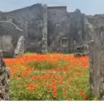 2000-years-after-pompeii-vanished-beneath-volcanic-ash-in-one-of-history39s-deadliest-volcanic-disas.avif