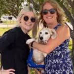 a-marshmallow-love-story-wisconsin-woman-met-a-rescue-beagle-and-could-not-stop-thinking-about-her-s.avif