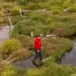 a-new-waterscape-has-been-created-on-the-holnicote-estate-in-somerset-national-trust-photos.jpg