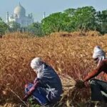 agriculture-data-lapse.jpg