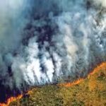 amazon-forest-fires.jpg