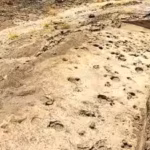ancient-footprints-found-in-kenya-reveal-how-early-human-relatives-may-have-travelled-and-lived-toge.avif