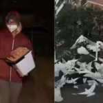 australia39s-mysterious-39birdman39-has-spent-two-years-feeding-birds-in-the-middle-of-the-night-lea.avif