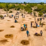 communities-dig-water-harvesting-pits-to-restore-degraded-land-and-improve-soil-moisture-in-the-sahe.avif