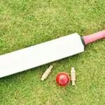 cricket-gen-3107-s.jpg