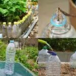 diy-water-drip-system-for-your-mini-garden.jpg