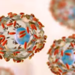 explosive-stomach-infection-hits-us-how-the-parasite-cyclospora-makes-people-unwell-and-what-researc.avif