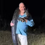 florida-dad-grabbed-a-202-pound-burmese-python-then-it-started-dragging-him-towards-a-canal-before-h.avif