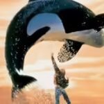 free-willy-returns-with-a-modern-reimagining.jpg