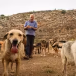 houssein-hamzes-rescued-dog-pulled-him-from-bed-moments-before-a-bomb-struck-in-2006-when-war-return.avif