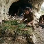 how-ancient-humans-made-their-beds-200000-year-old-grass-reveals-a-prehistoric-cleaning-routine.jpg