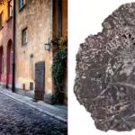 how-fossilised-wood-shows-the-history-of-europe.jpg