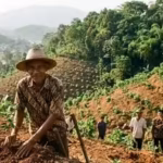 in-1996-indonesia39s-39crazy39-tree-planter-who-was-mocked-for-his-mission-planted-11000-trees-and-t.avif