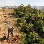 in-2003-a-retired-man-planted-trees-on-forgotten-land-alone-20-years-later-it-had-become-one-of-sao.avif