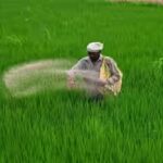 india-brings-in-over-32-lakh-tonnes-of-key-fertilisers-in-april-june.jpg