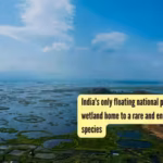 india39s-only-floating-national-park-is-a-40-sq-km-wetland-home-to-a-rare-and-endangered-deer-specie.avif