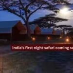 indias-first-night-safari-coming-soon.jpg