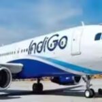 indigo.jpg