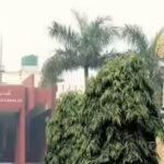 jamia-millia-islamia.jpg