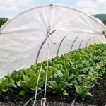 japan-scientists-developed-a-fabric-that-blocks-heat-producing-infrared-light-while-letting-crops-re.avif