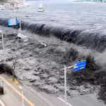 japan39s-2011-megaquake-sent-a-seismic-wave-nearly-2900-km-to-earth39s-core-which-returned-13-minute.avif