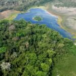 maya-biosphere-reserve-covers-about-21-million-hectares-in-guatemalas-northern-peten-province.jpg