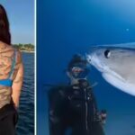 meet-emily-morrison-the-marine-biologist-who-sets-a-world-record-for-106-shark-tattoos.jpg