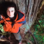 meet-julia-butterfly-hill-the-23-year-old-woman-who-climbed-a-1000-year-old-tree-and-stayed-there-fo.avif