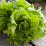 michigan-health-department-issued-advisory-to-thoroughly-wash-greens-and-remove-the-outer-layer-of-l.avif