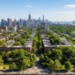 new-york-spent-8-years-planting-one-million-trees-now-the-city-is-aiming-for-30-tree-cover-by-2040-t.avif