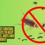 pest-control.jpg