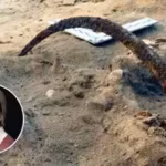 poland39s-300-year-old-39vampire-cemetery39-mystery-the-strange-reason-100-people-were-buried-with-s.avif