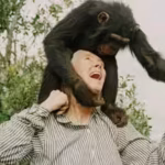 quote-of-the-day-by-jane-goodall-why-quoteven-that-great-scientist-albert-einstein-sustained-a-mysti.avif