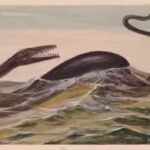 remains-of-an-undiscovered-species-of-mosasaur.jpg