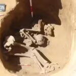 researchers-found-skeletons-and-parts-of-skeletons-in-shallow-graves-picture-aru-sas.jpg