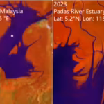 satellite-images-reveal-global-mangrove-recovery-nasa-study-shows-forests-springing-back-but-rising.avif