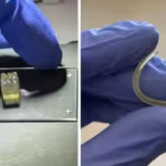 scientists-create-liver-and-kidney-tissues-in-space-for-the-first-time-in-a-microgravity-environment.avif