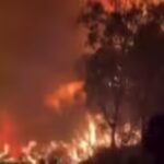 sicily-wildfires.jpg