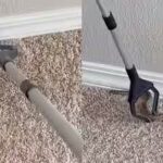 snake-hiding-inside-tiny-bedroom-floor-hole-leaves-internet-stunned.jpg