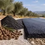 spain-is-turning-millions-of-discarded-olive-pits-into-road-material-that-could-store-carbon-for-dec.avif