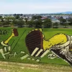 this-japanese-village-hides-giant-artworks-in-its-rice-fields-from-tanjiro-to-napoleon-they-only-eme.avif