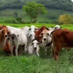 ukraine-says-russia-burying-bioweapon-in-its-territory.jpg
