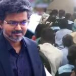 vijay-fans.jpg