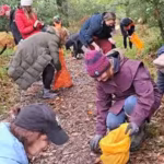 volunteers-hand-collect-native-tree-seeds-from-scotland39s-remote-woodlands-to-help-restore-the-coun.avif