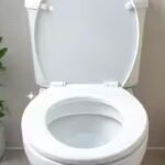 want-a-fresh-and-odour-free-toilet-these-6-ingredients-can-help.jpg