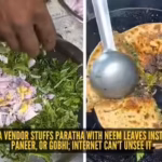 watch-agra-vendor-stuffs-paratha-with-neem-leaves-instead-of-aloo-paneer-or-gobhi-internet-can39t-un.avif