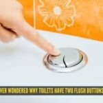 why-do-toilets-have-two-flush-buttons.jpg
