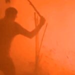 wildfire.jpg