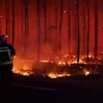 wildfire-in-the-gironde-department.jpg