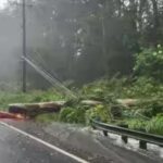1786942398_tropical-weather-hawaii.jpg